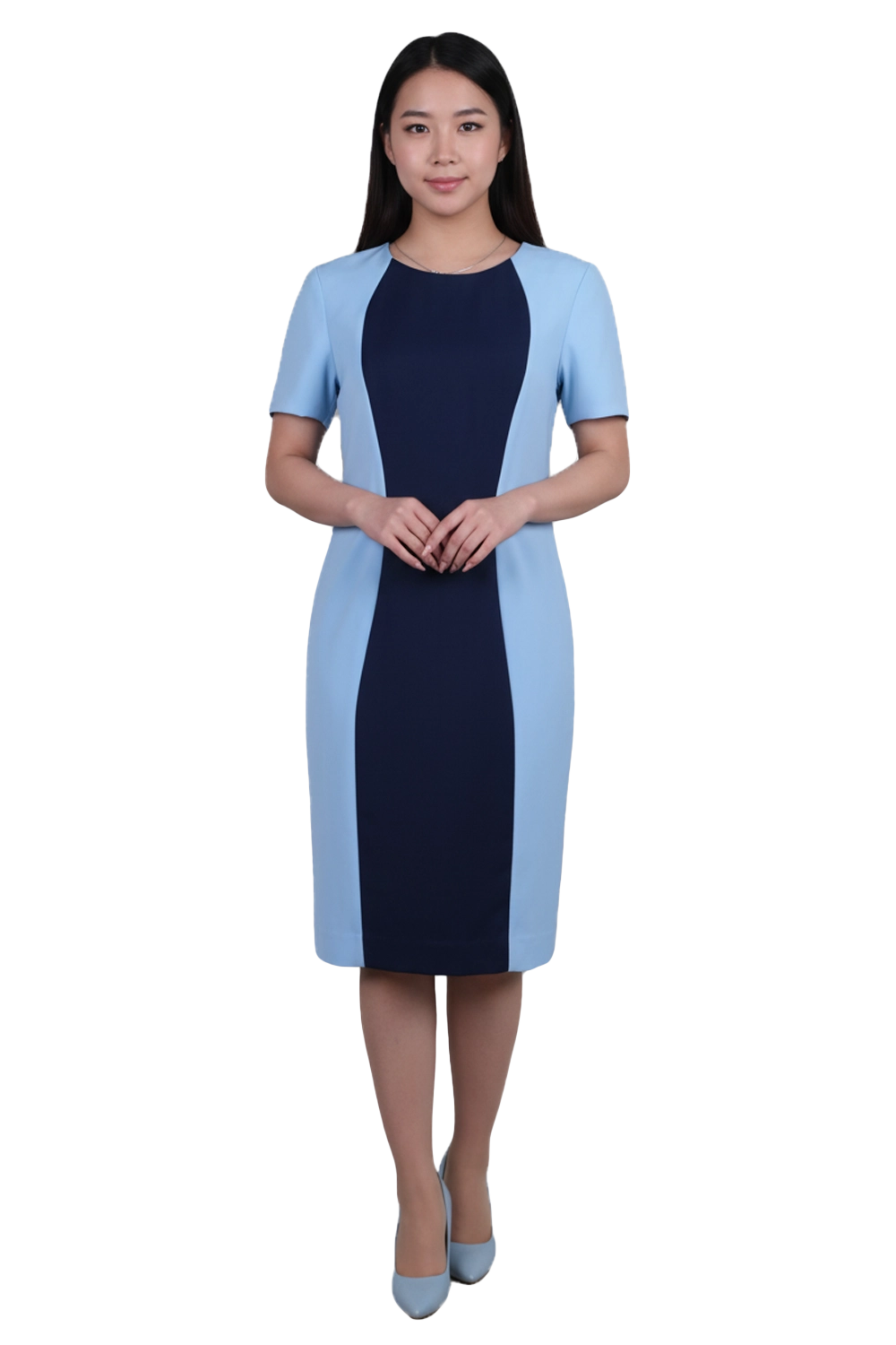 Knee Length Dress with Contrasting Princess Panel