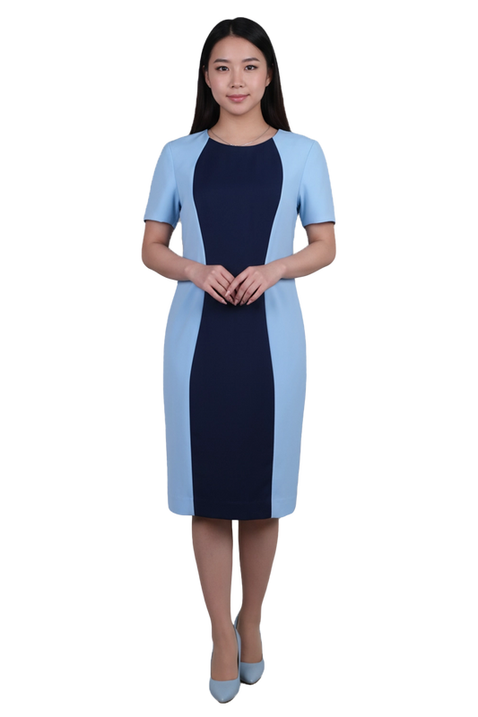 Knee Length Dress with Contrasting Princess Panel