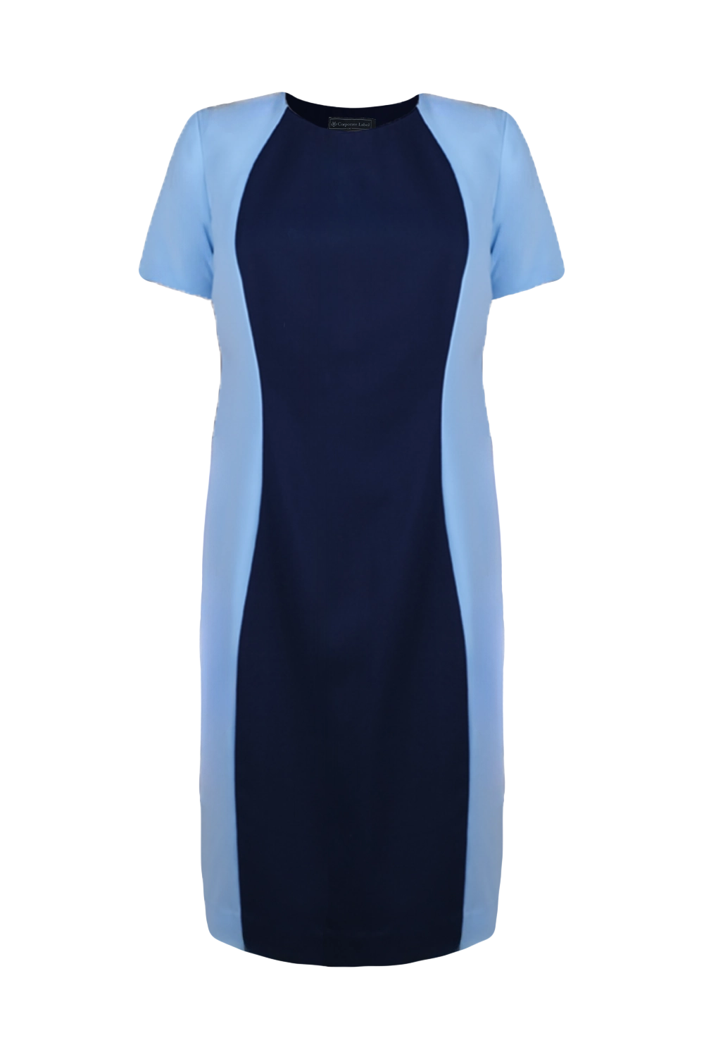 Knee Length Dress with Contrasting Princess Panel