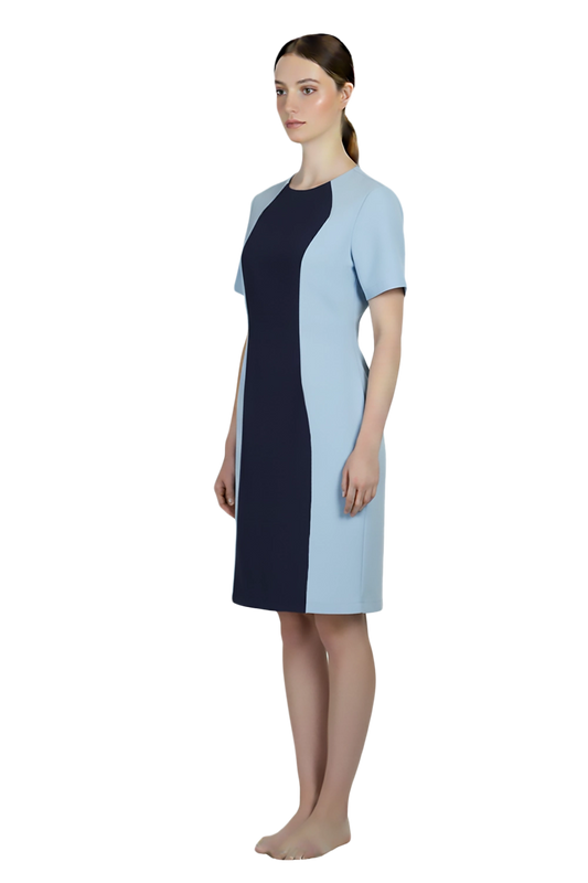 Knee Length Dress with Contrasting Princess Panel