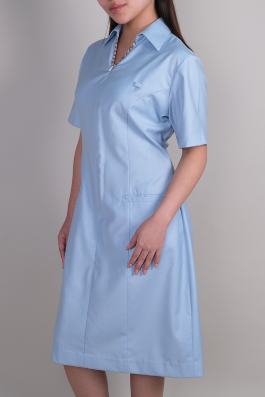 Light Blue Knee length Dress with Neck Trims