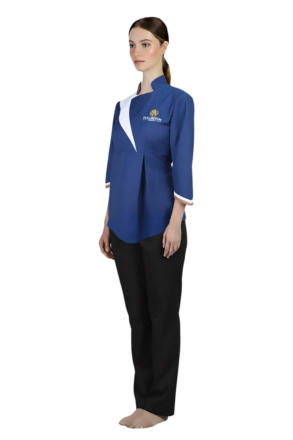 Regal Asymmetrical Tunic Top