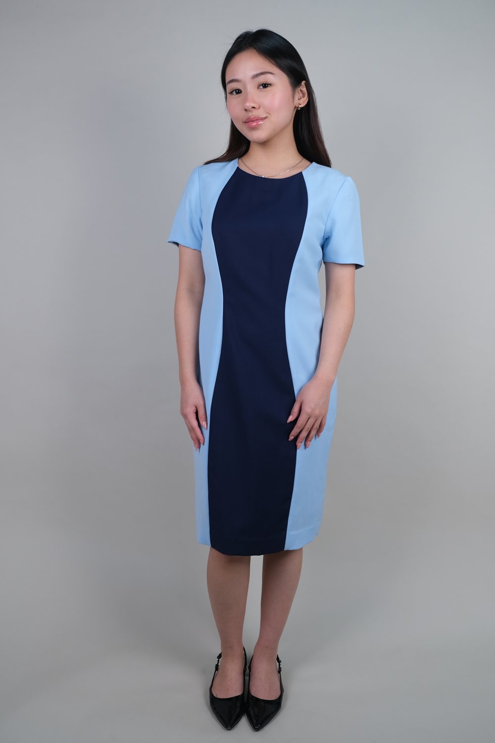 Knee Length Dress with Contrasting Princess Panel