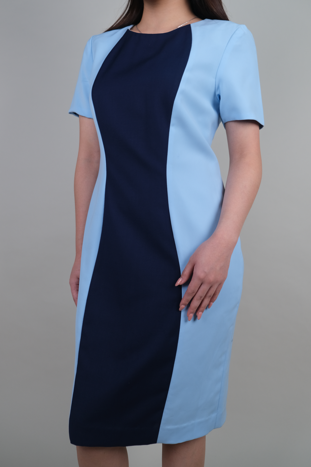 Knee Length Dress with Contrasting Princess Panel