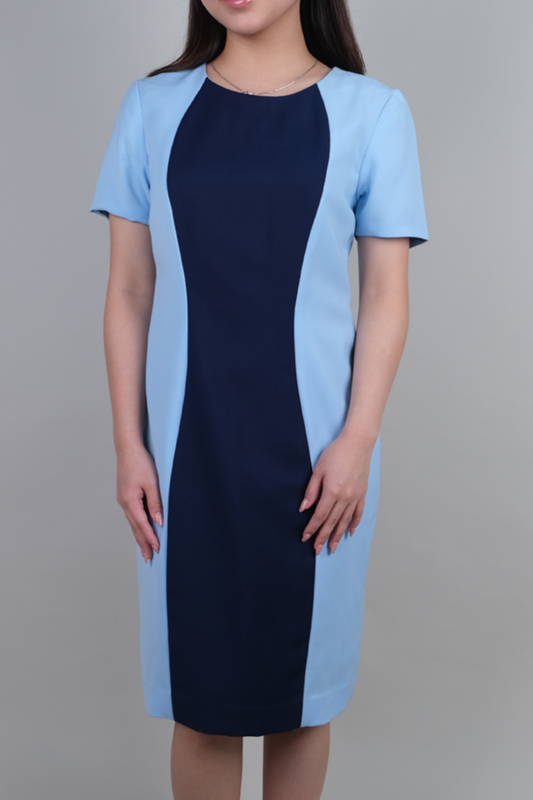 Knee Length Dress with Contrasting Princess Panel